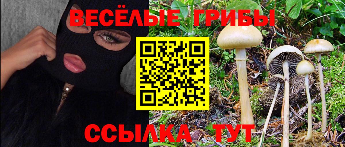 Псилоцибиновые грибы мицелий Ачхой-Мартан
