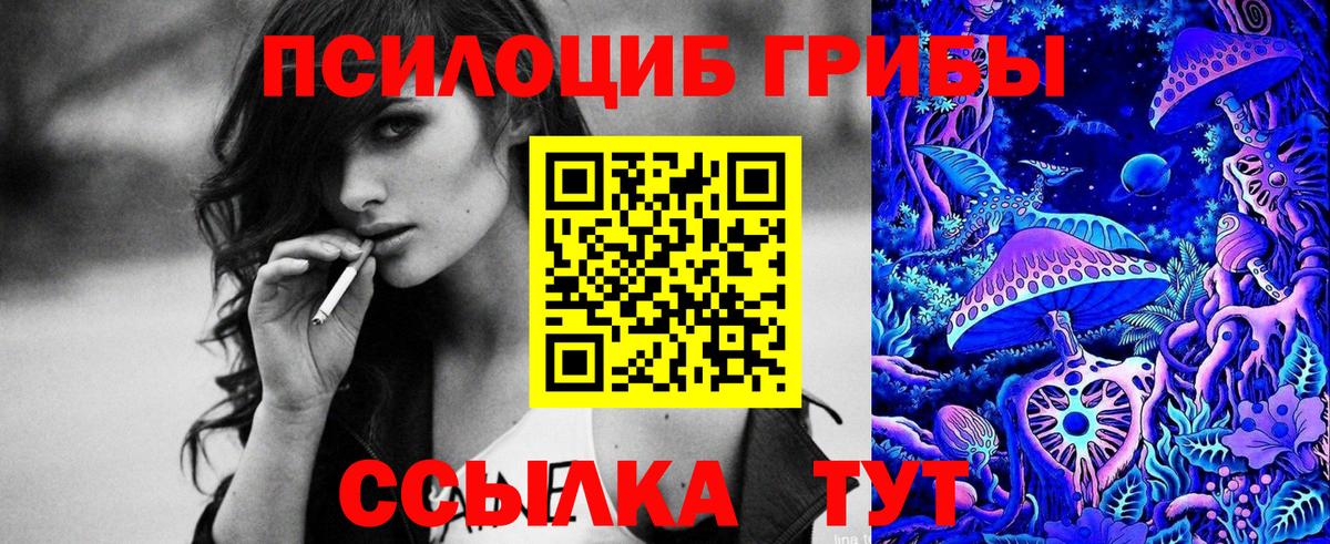 Ачхой-Мартан  Псилоцибиновые грибы прущие грибы  Вход с VPN 