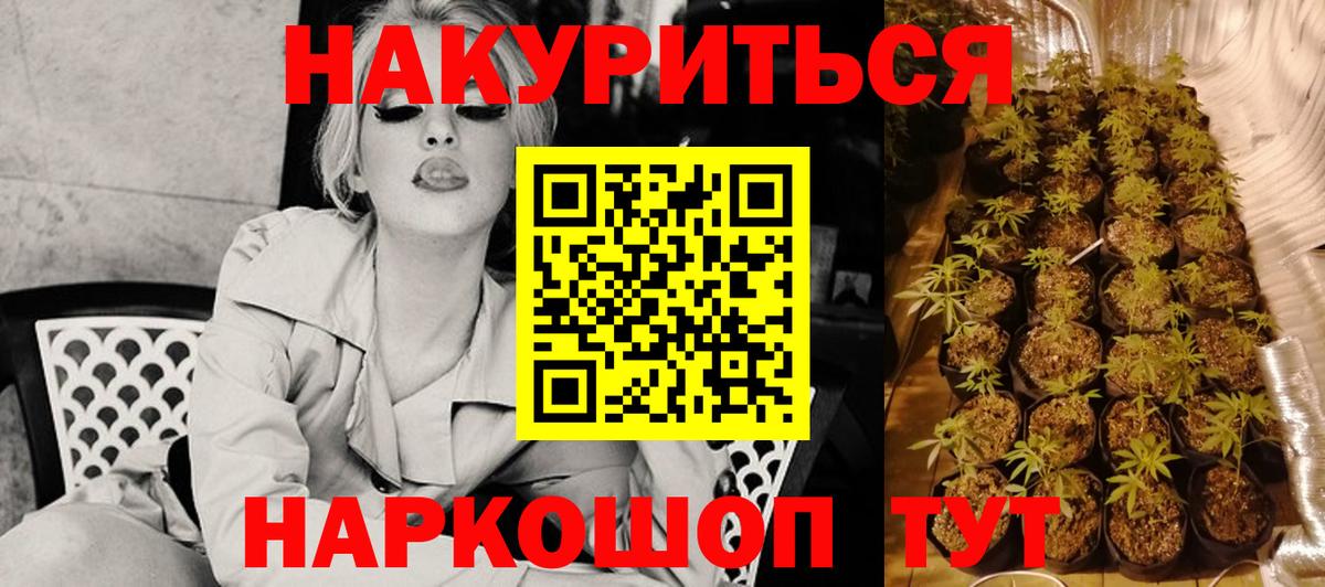 Марихуана планчик  МАРИХУАНА Amnesia  Бошки марихуана тримм  Вход с VPN  Ачхой-Мартан 